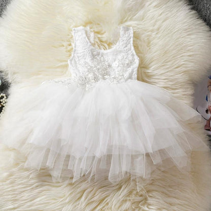 Luxury Toddler Girl Baby Clothing Dresses For 1 Year Birthday Christening Lace Girls Tulle  Infant Party Cake Smash Outfit Dress for Girls 1-6 Years